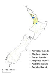 Dennstaedtia davallioides distribution map based on databased records at AK, CHR & WELT.
 Image: K. Boardman © Landcare Research 2017 CC BY 3.0 NZ